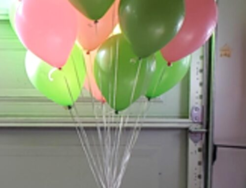 balloon cluster 19